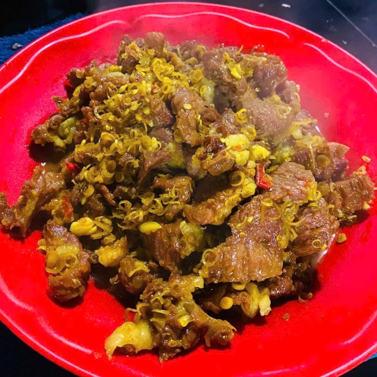 Bò Tơ Tây Ninh Út Mây