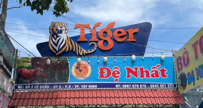 Bò Tơ Tây Ninh Út Mây